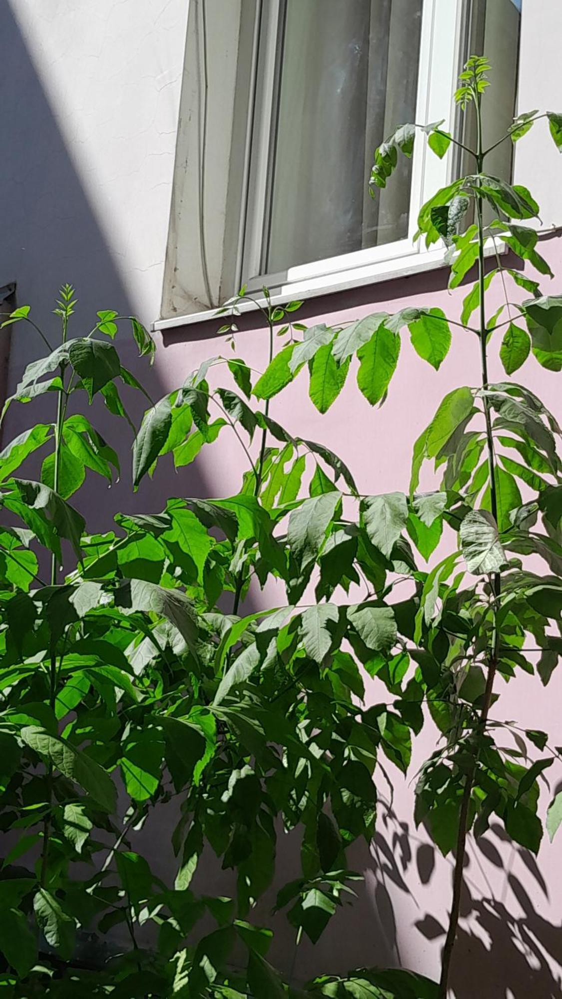 1Ком Апартаменты,Парковка,Улхорватская Lemberg Exterior foto